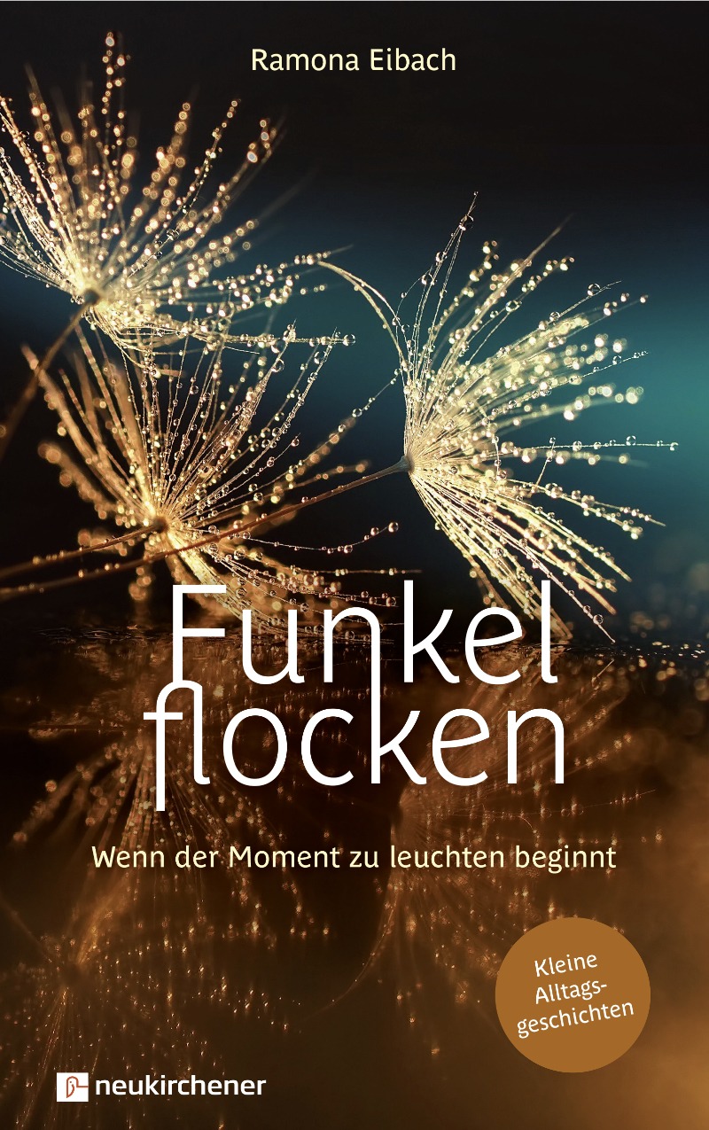 Vorlage buch