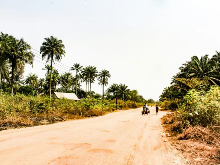 Nigeria landschaft und strasse
