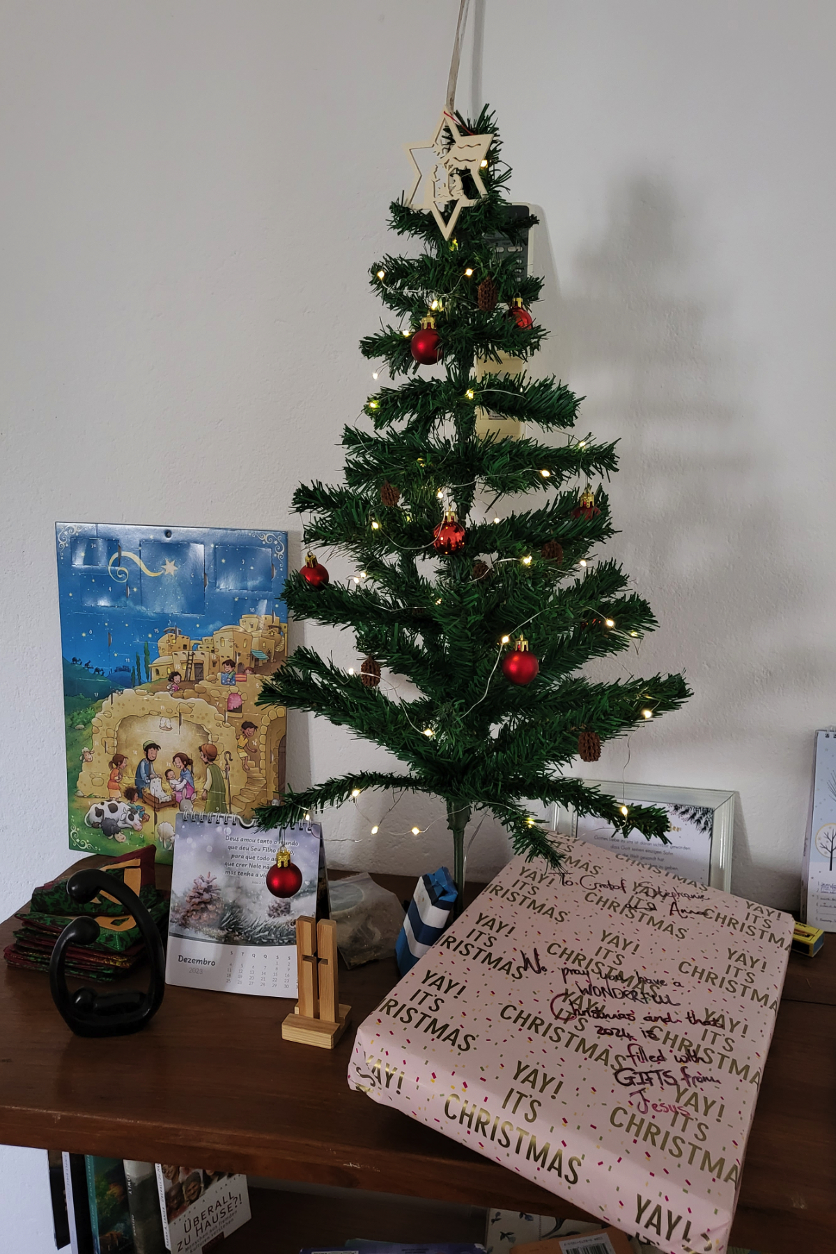 Weihnachtsbaum in Mosambik