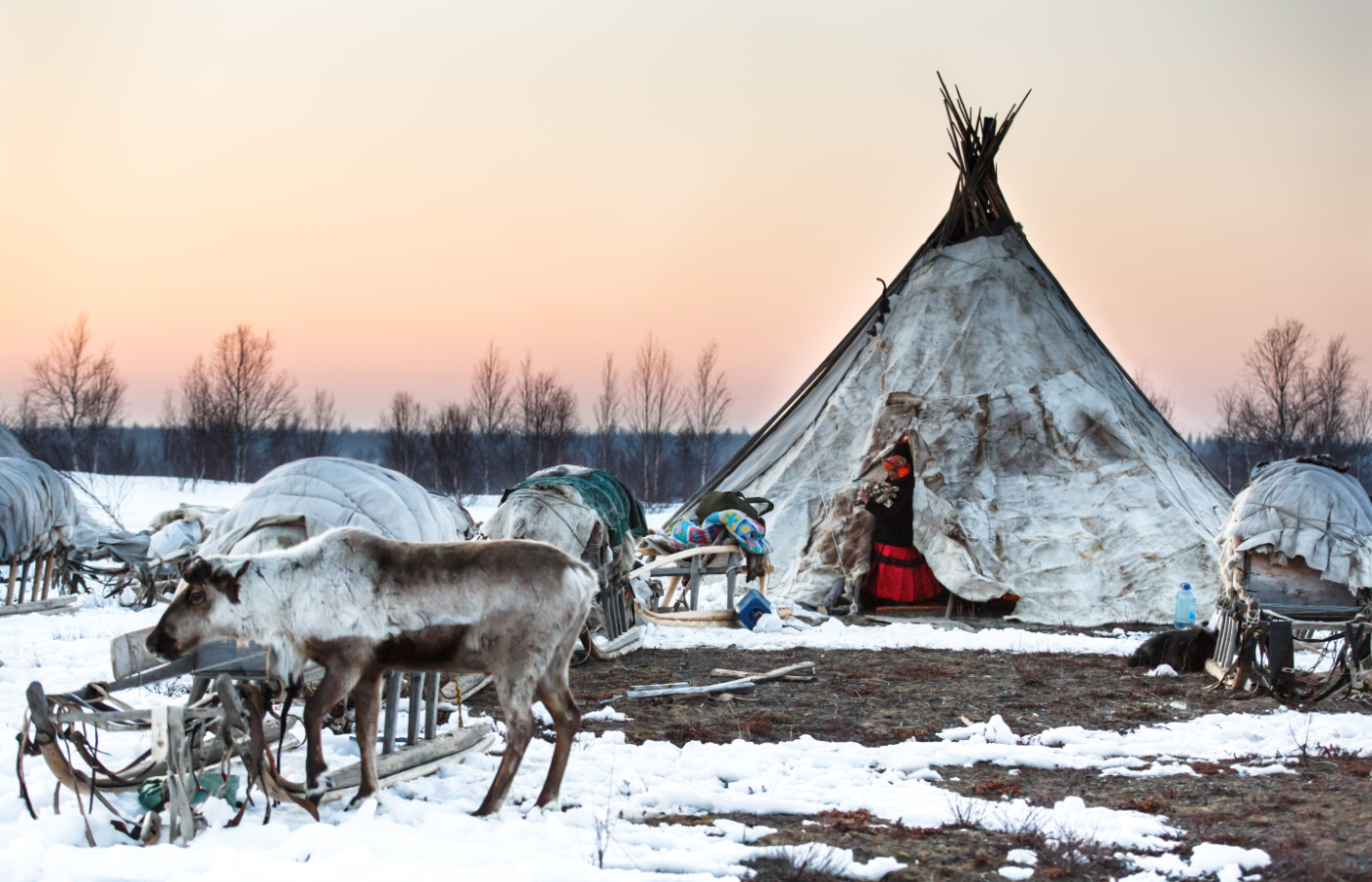Russland im Winter Zelt mit Tieren