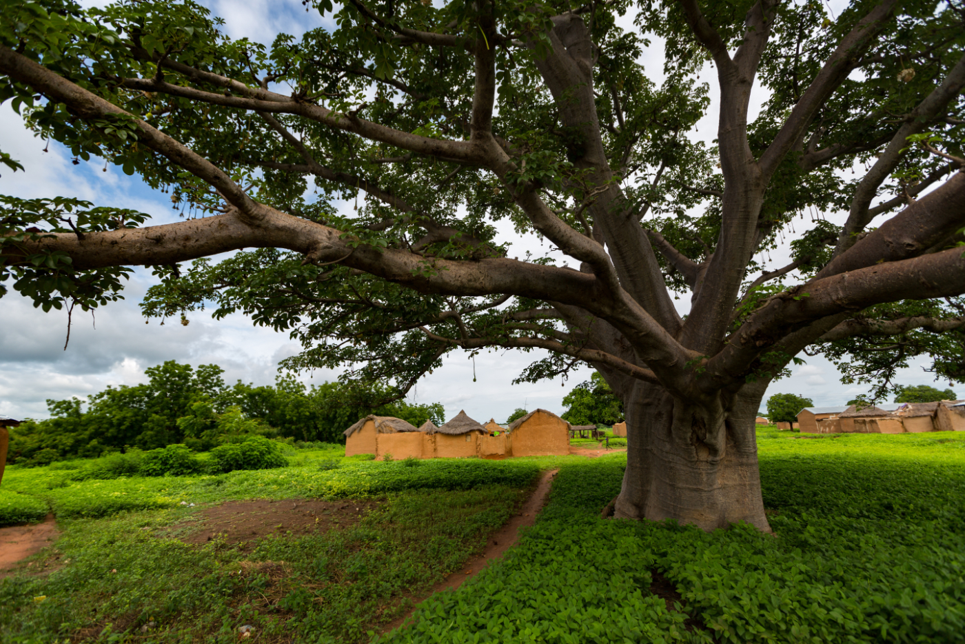 Huetten in Ghana