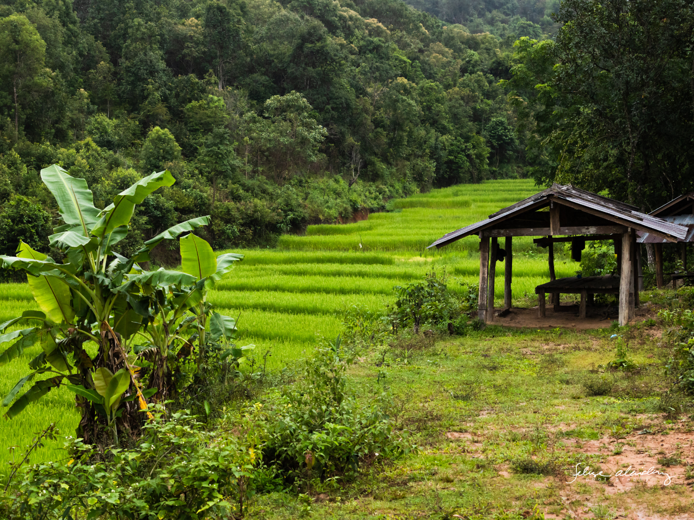 Thailand Landschaftsszene