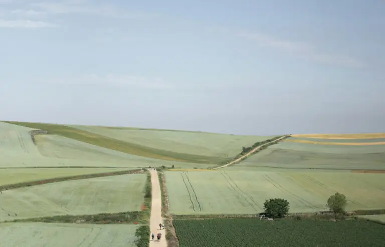 Weg durch gruene Landschaft
