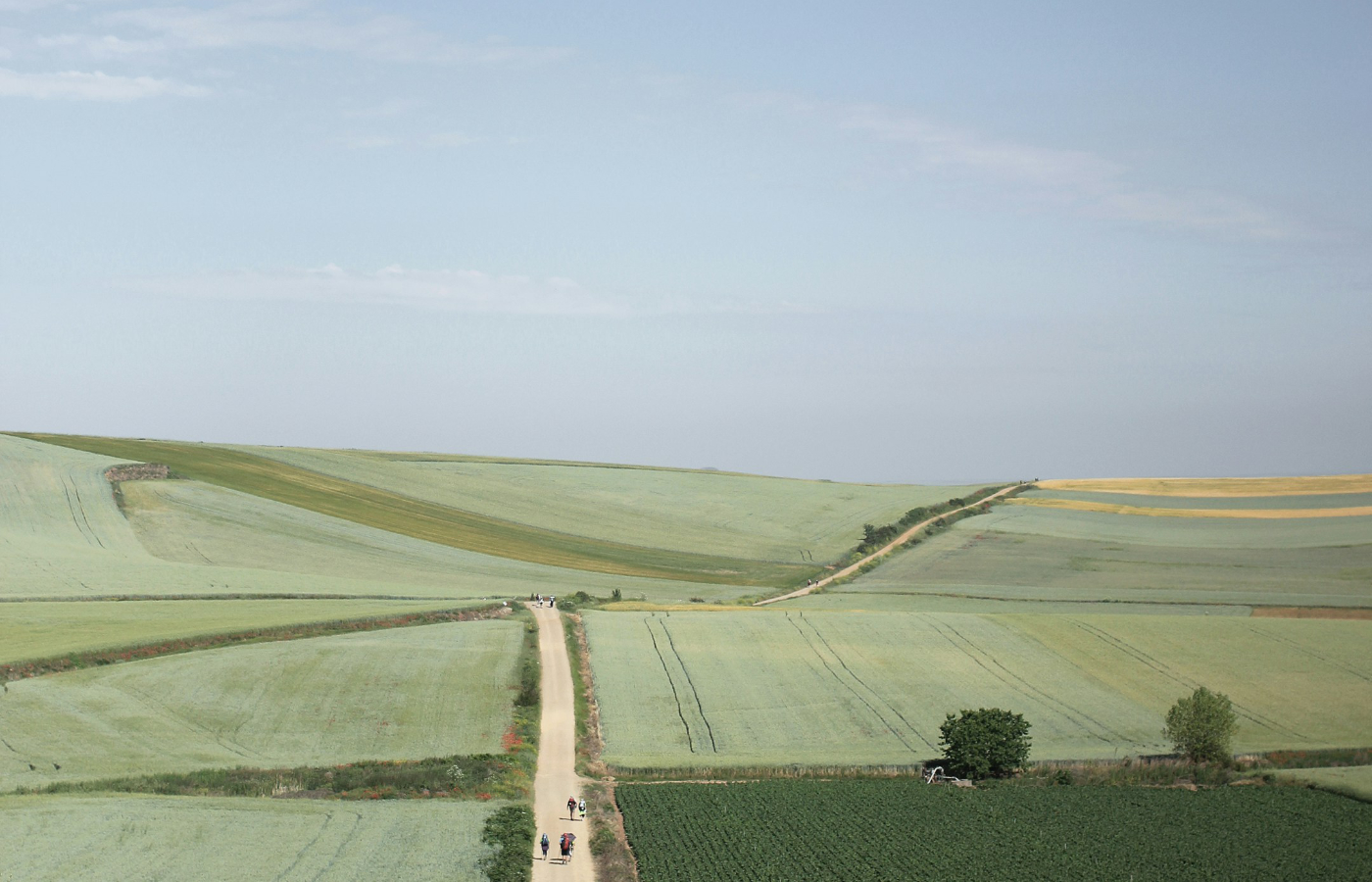 Weg durch gruene Landschaft