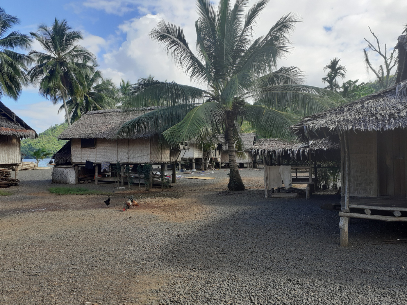 Dorf Papua Neuguinea